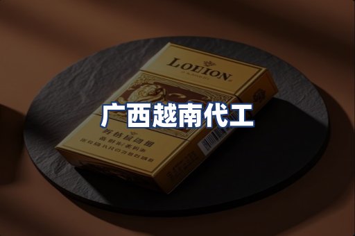 广西越南代工